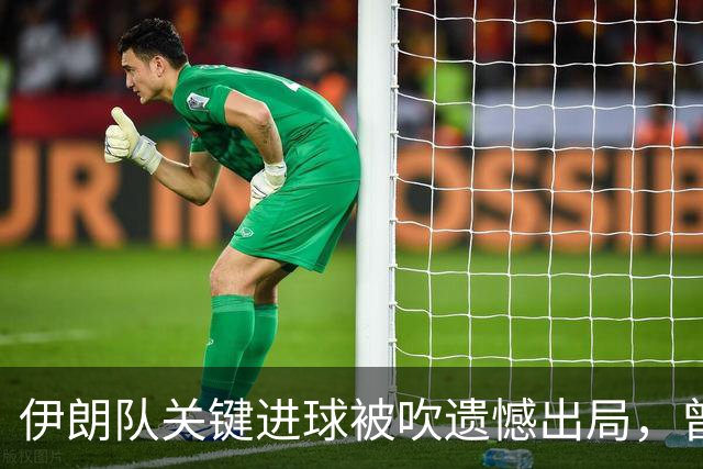 伊朗队关键进球被吹遗憾出局，曾任教哈佛大学的伊朗学者向FIFA索赔10亿美元