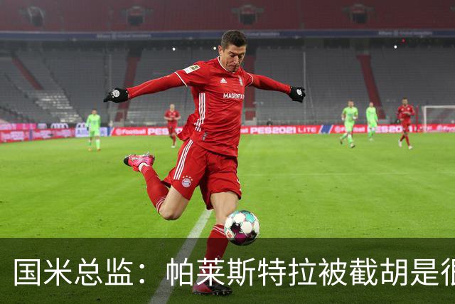 国米总监：帕莱斯特拉被截胡是很正常的事 我们与英超有经济差距