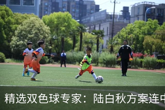 精选双色球专家：陆白秋方案连中1等1036万和5+1